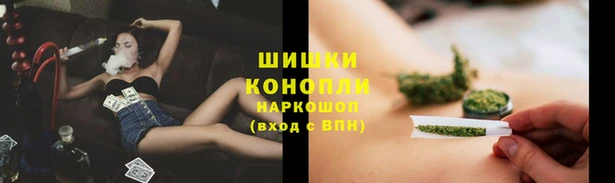 Альфа ПВП Снежинск