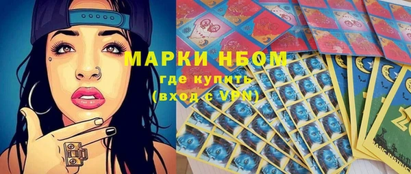 ПСИЛОЦИБИНОВЫЕ ГРИБЫ Снежногорск