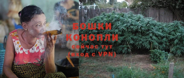 ПСИЛОЦИБИНОВЫЕ ГРИБЫ Снежногорск