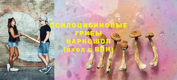 Альфа ПВП Снежинск