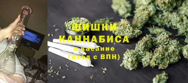 ПСИЛОЦИБИНОВЫЕ ГРИБЫ Снежногорск