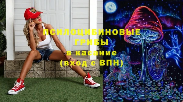 МДМА Новодвинск