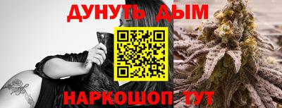 бошки Гай