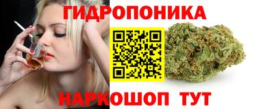 бошки Гай