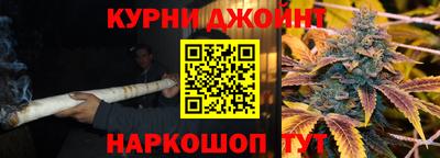 a pvp Гатчина