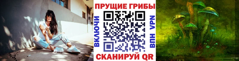 Псилоцибиновые грибы мухоморы  цена   Усть-Илимск 