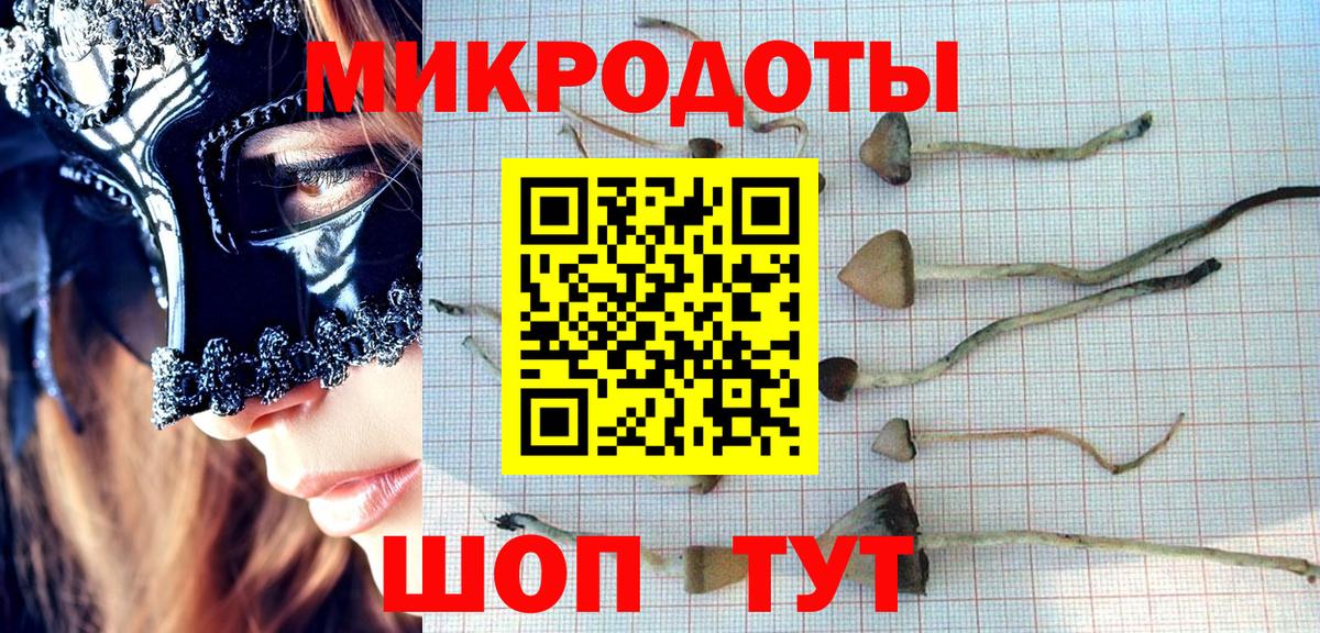 Псилоцибиновые грибы Psilocybe  Усть-Илимск 