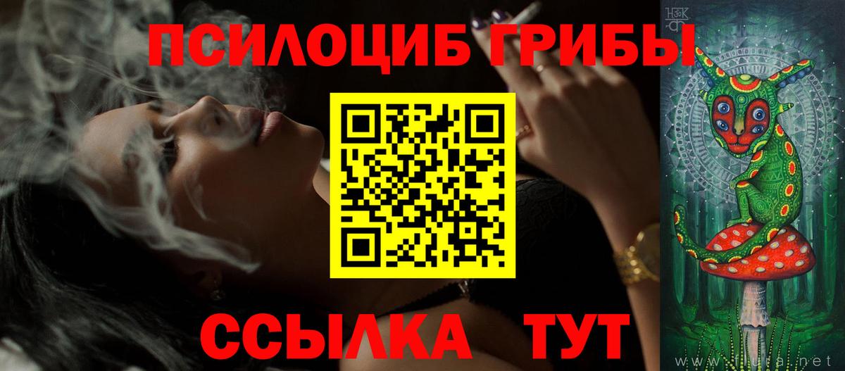 Псилоцибиновые грибы Cubensis  Вход с VPN  Усть-Илимск  Галлюциногенные грибы Cubensis 